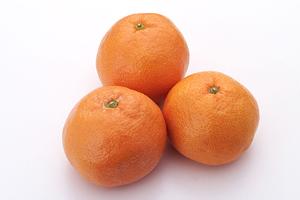 伝説のすた丼屋 大宮東口店の魅力と詳細ガイド