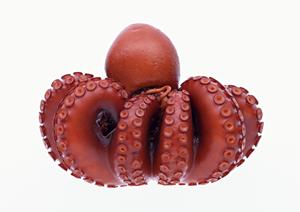 宅配弁当は累計5300万食以上の販売実績があります