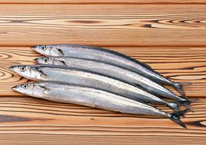 外苑いちょう並木 – シェイクシャックの魅力と特徴