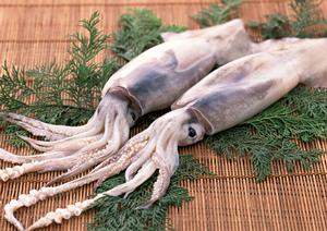 伝説のすた丼屋 道頓堀店｜大阪中心部で本格的なスタ丼を楽しむならここ