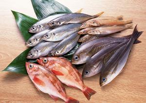 大阪・難波の絶品海鮮居酒屋！磯丸水産なんば南海通り店の魅力と詳細情報