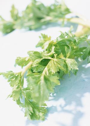 欲しいアーモンド製品が見つかります