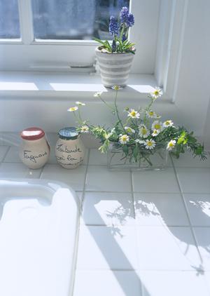 大阪のお好み焼き専門店「ぼてぢゅう」の魅力と店舗情報 ? 数多くの人に愛される伝統的な味と革新的なサービス