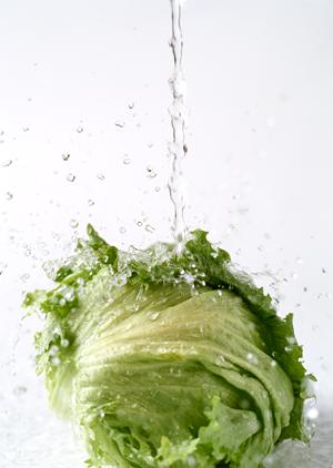 【詳細ガイド】和洋中ビュッフェと温泉を満喫できるレストラン「かめ福オンプレイス」の魅力と店舗情報