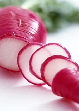 イタリアンフレンチレストラン Wine&Dining EKAの魅力