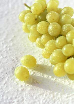 関内で中華料理を探している方へ