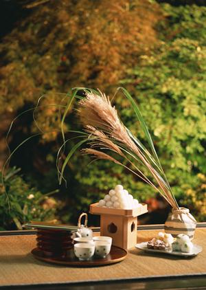 2025年最新版：六本木で絶対に外さないおすすめカフェ15選と選び方ガイド