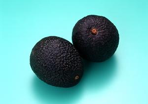 宅配してくれるお弁当屋さんです