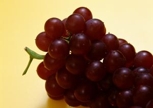 高品質な食材で特別な食事体験！オンライン通販で手軽に楽しむふぐ鍋