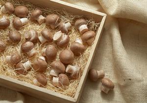 オリジナルのスイーツ製造をするには